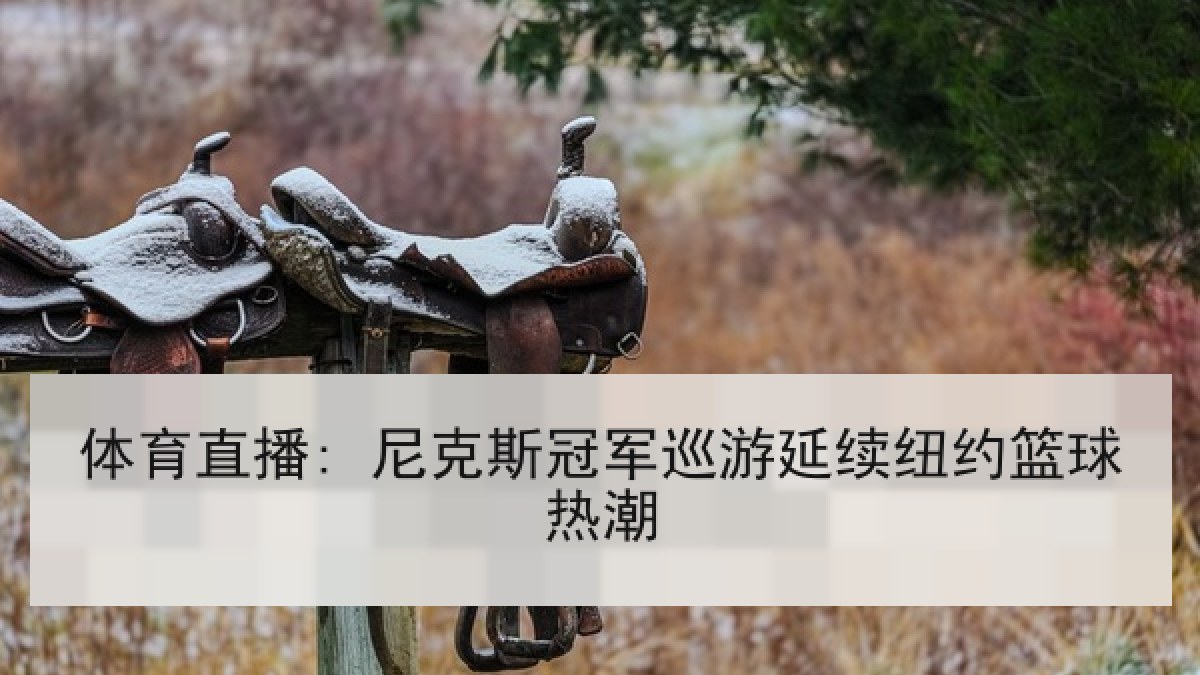 体育直播: 尼克斯冠军巡游延续纽约篮球热潮 体育直播: 尼克斯冠军巡游延续纽约篮球热潮