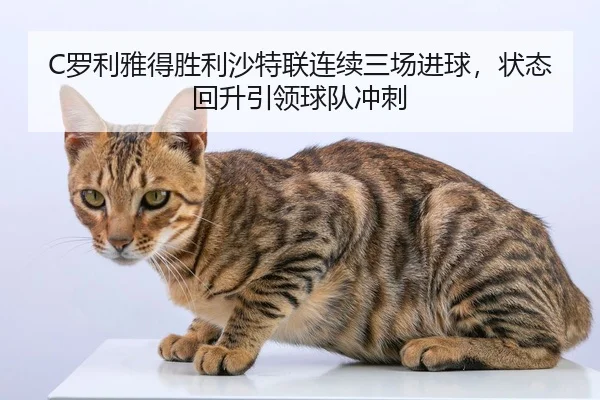 luo-li-ya-de-sheng-li-sha-te-lian-lian-xu-san-chang-jin-qiu-zhuang-tai-hui-sheng-yin-ling-qiu-dui-chong-ci-3-367.jpg