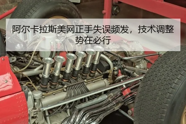 a-er-ka-la-si-mei-wang-zheng-shou-shi-wu-pin-fa-ji-shu-tiao-zheng-shi-zai-bi-xing-3-345.jpg