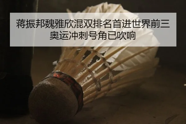 蒋振邦魏雅欣混双排名首进世界前三 奥运冲刺号角已吹响