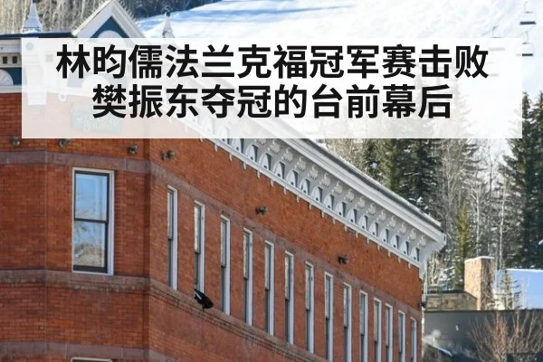 林昀儒法兰克福冠军赛击败樊振东夺冠的台前幕后