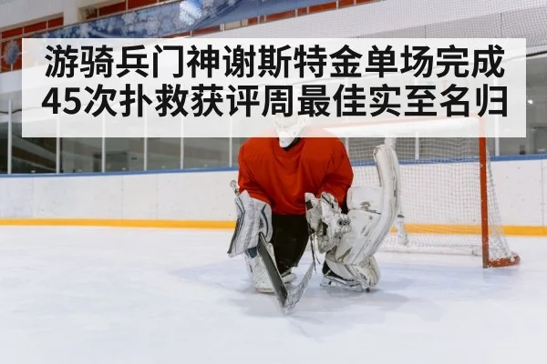 ice hockey goalie